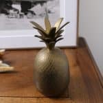 ananas laiton, bonnie n°01