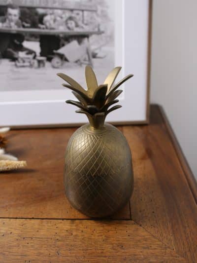 ananas laiton, bonnie n°01