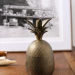 ananas laiton, bonnie n°01
