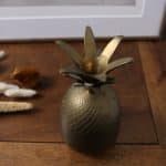 ananas laiton, bonnie n°01