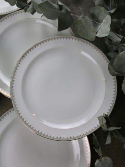 assiettes porcelaine de limoges