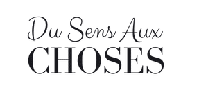 logo du sens aux choses (1024 x 512 px) 6