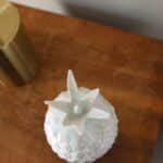 ananas porcelaine du berry, bonnie n°02